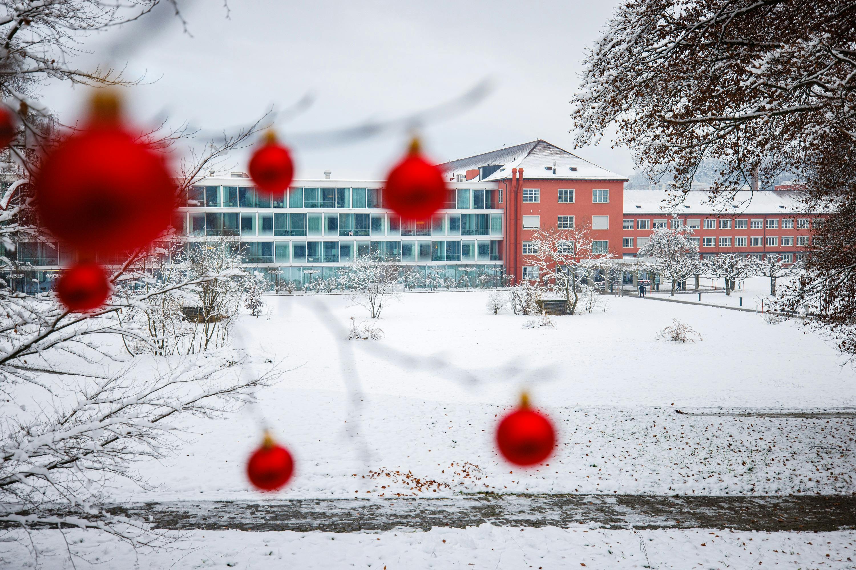 Rote Weihnachtskugeln im Vordergrund mit verschneiter Parklandschaft und modernem Gebäude im Hintergrund.