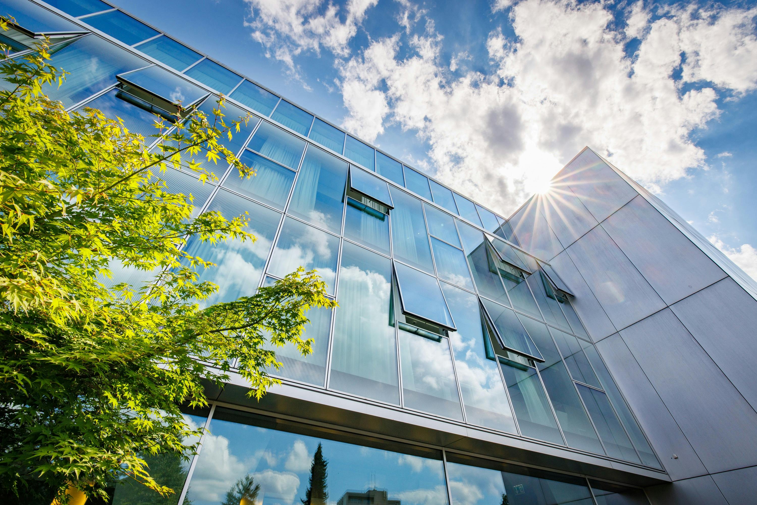 Modern glass façade of a building with open windows and sunbeams, surrounded by blue sky and green branches.