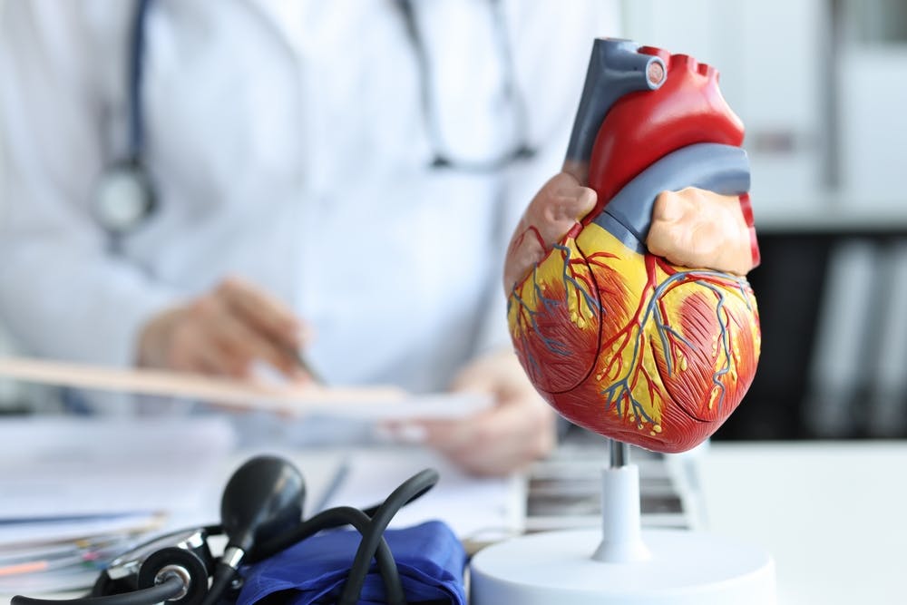 Arzt mit Modell eines menschlichen Herzens im Vordergrund und medizinischen Utensilien im Hintergrund.