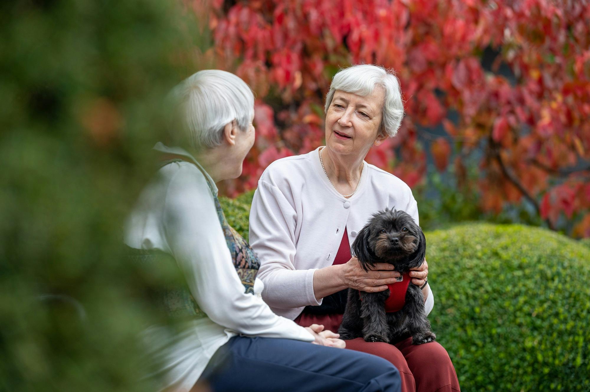 Zwei ältere Damen im Gespräch im Freien mit einem kleinen Hund auf dem Schoß vor einem Hintergrund mit herbstlichem Laub.