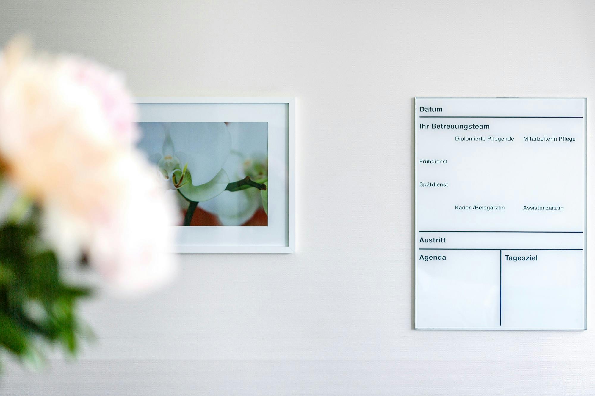 Alternativbeschreibung: Wand mit gerahmtem Bild einer Blüte neben einer Informationstafel in einem Innenraum.