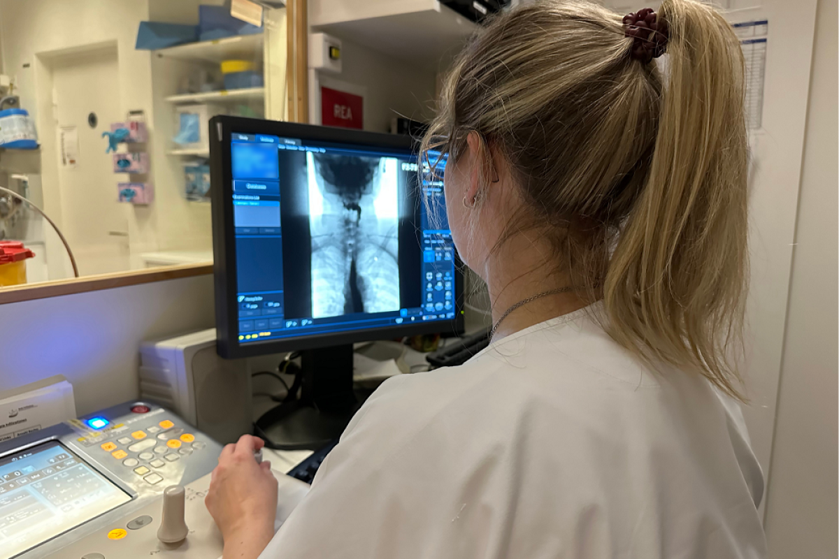 Medizinische Fachkraft betrachtet Röntgenbilder am Computerbildschirm.