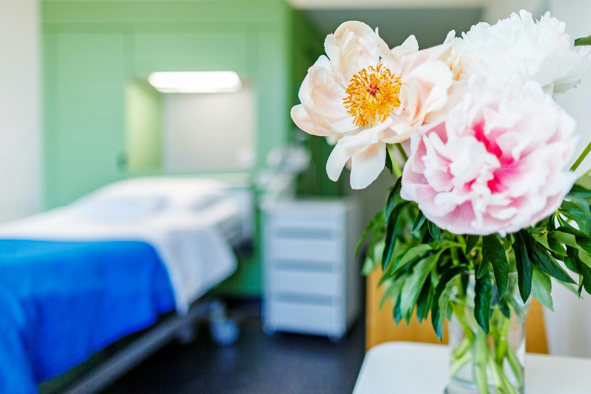 Close-up of peonies with a blurred background of a hospital room.